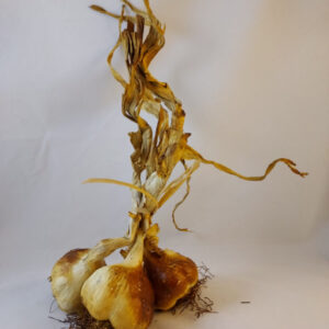 3 bollen gerookte knoflook